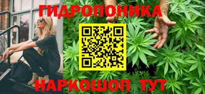мяу мяу мука Ирбит