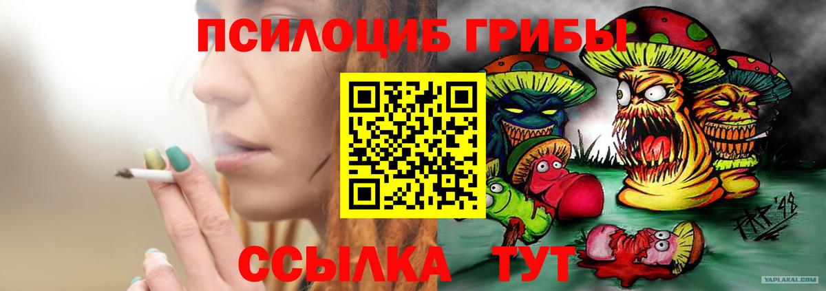 Ленинск-Кузнецкий  Псилоцибиновые грибы Cubensis  цена   Вход с VPN 